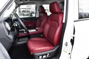 2026 gwm tank 300 19 front seats